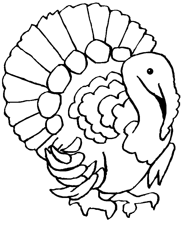 GUAJOLOTE Colouring Pages