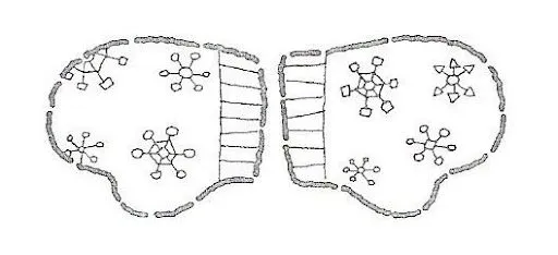 GUANTES.jpg%3Fimgmax%3D640