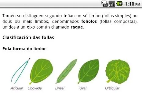 Guía de árboles - Aplicaciones de Android en Google Play