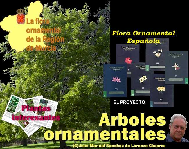 ARBOLES ORNAMENTALES. José Manuel Sánchez de Lorenzo-