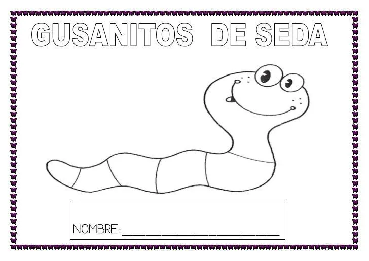 Gusanos de seda