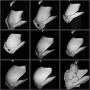 Te gustan las fotos de embarazadas? | Me crecen los enanos