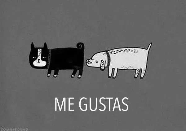 Me gustas