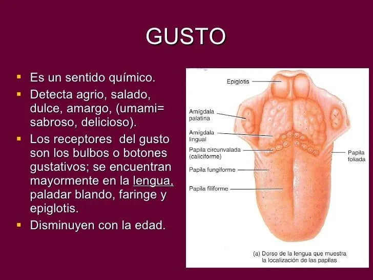 Gusto