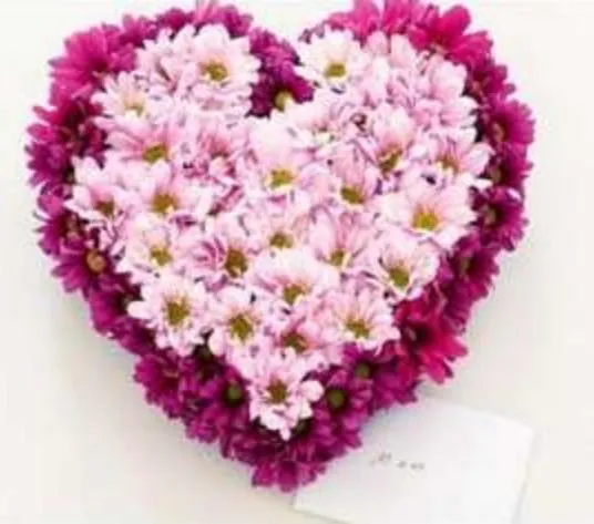 h1>Arreglo floral: corazon de flores para San Valentin</h1 ...