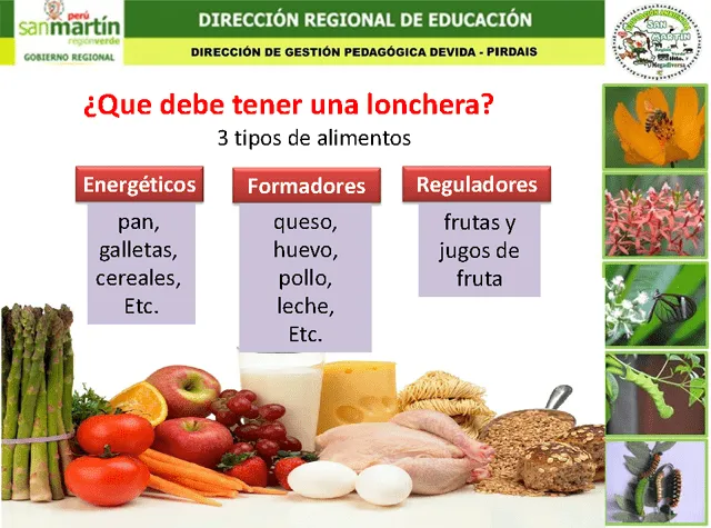 Hábitos de higiene y alimentación saludable - Monografias.com