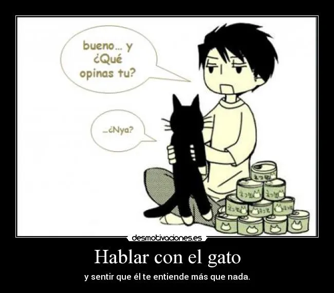 Hablar con el gato | Desmotivaciones