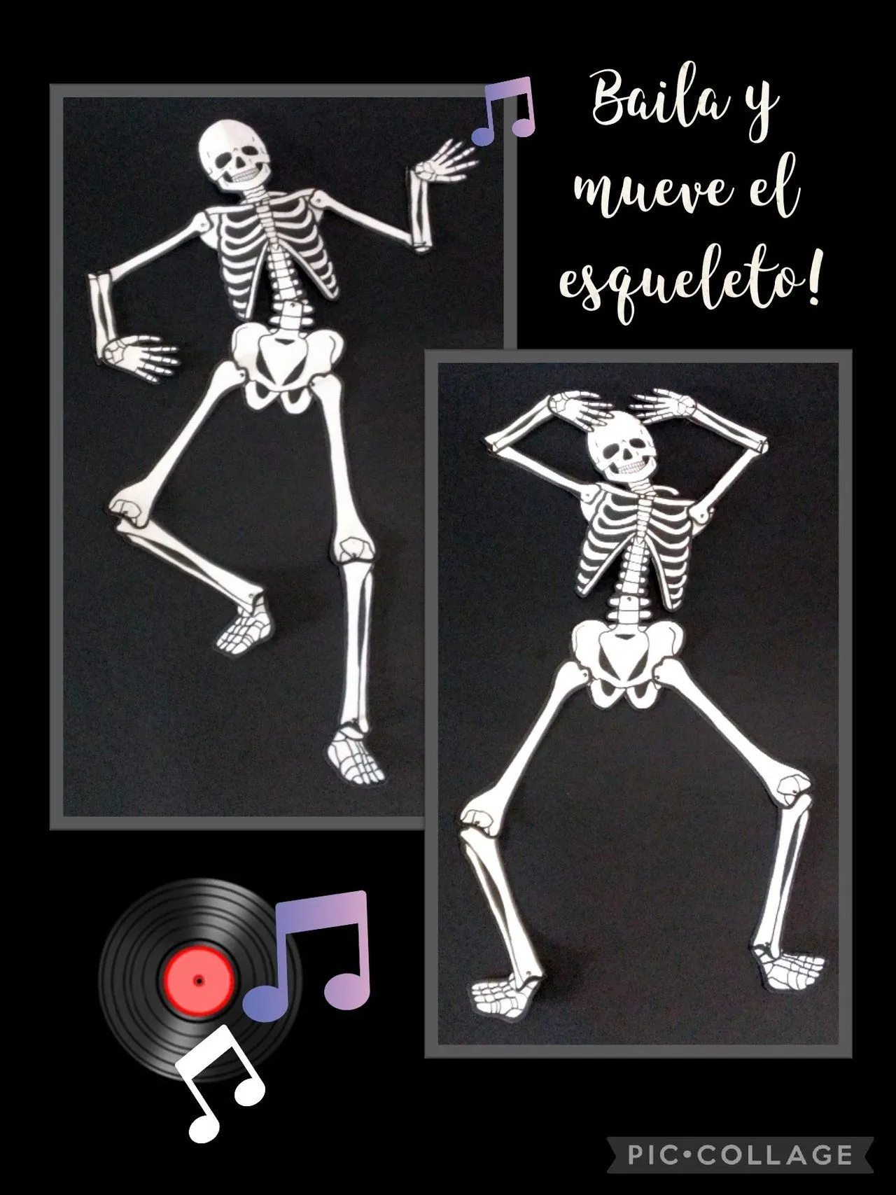 Hagamos un Esqueleto de cartón y conoce sus huesos principales.  (Reciclando) Let's make a cardboard skeleton and get to know its main bones  (Recycling). | PeakD