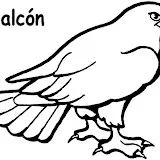 HALCONES PARA COLOREAR