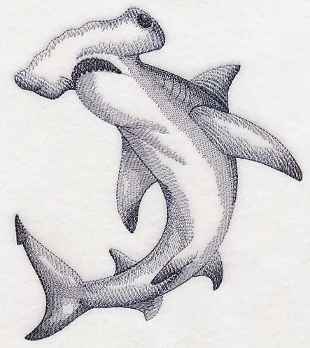 Hammerhead Shark Sketch | Dibujo de tiburón, Tatuajes de tiburones ...