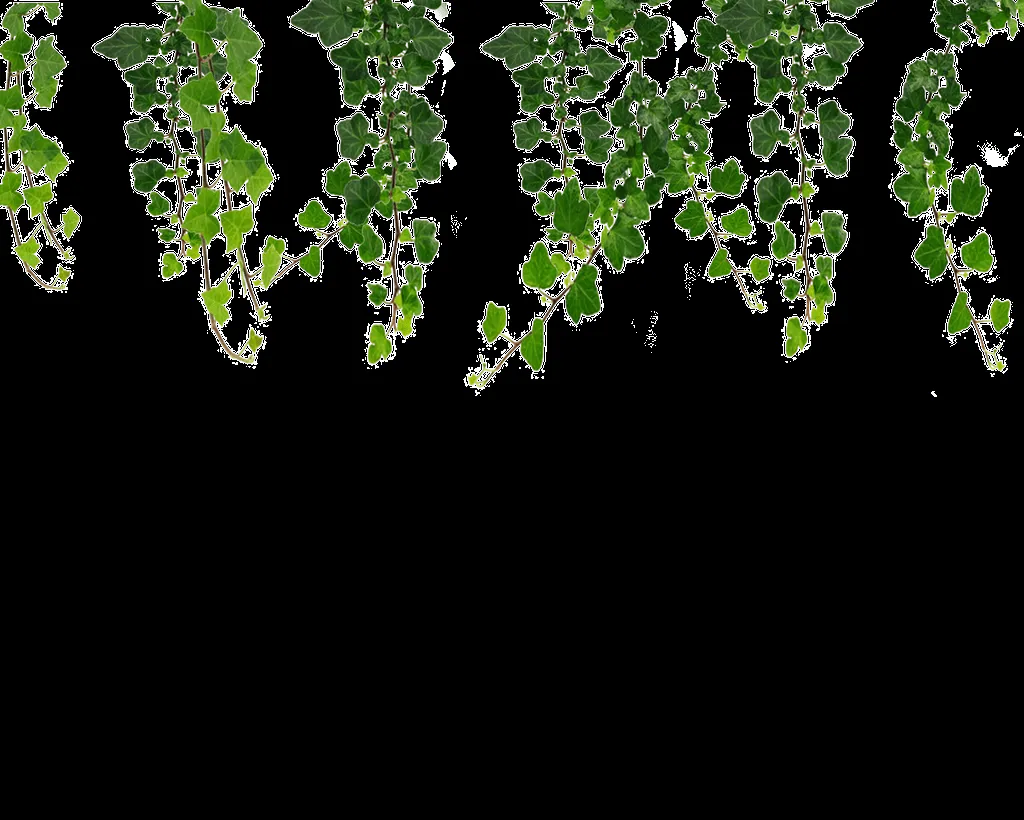 Hanging Vines Png by Moonglowlilly on DeviantArt