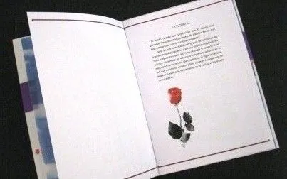 Hansel en Baviera: Circunstancias luctuosas