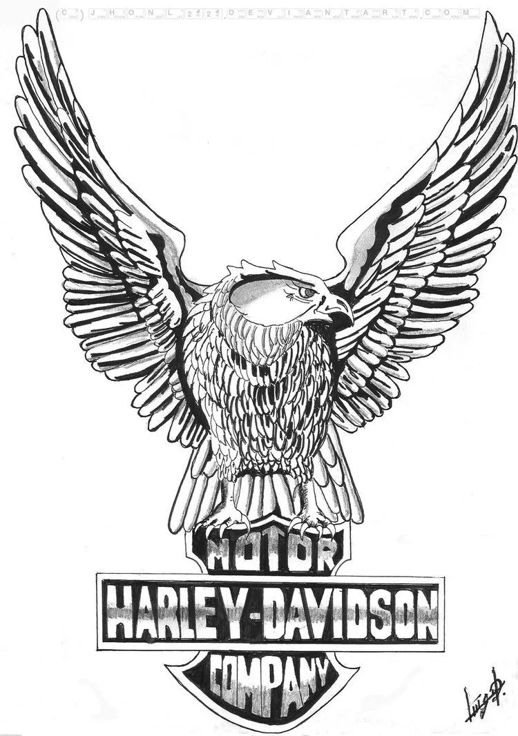 Harley Davidson Eagle Drawing - ClipArt Best