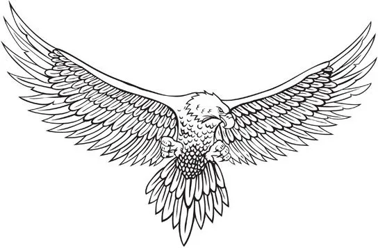 Harley davidson eagle wings Free vector for free download (about 1 ...