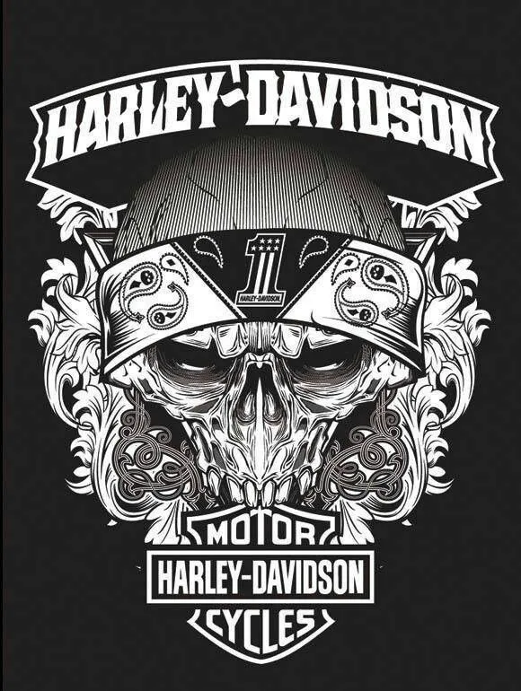 HARLEY STYLE! on Pinterest | Harley Davidson, Motorcycles and ...