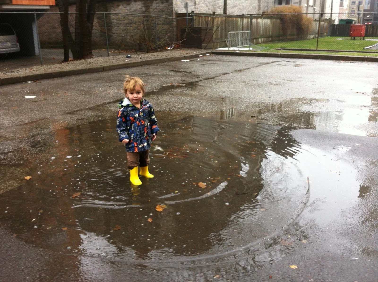 Harvest Kitchen Sisters: Puddle Jumping in January, oh and lamb...