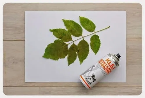 Haz cuadros decorativos con plantas naturales ~ Mimundomanual