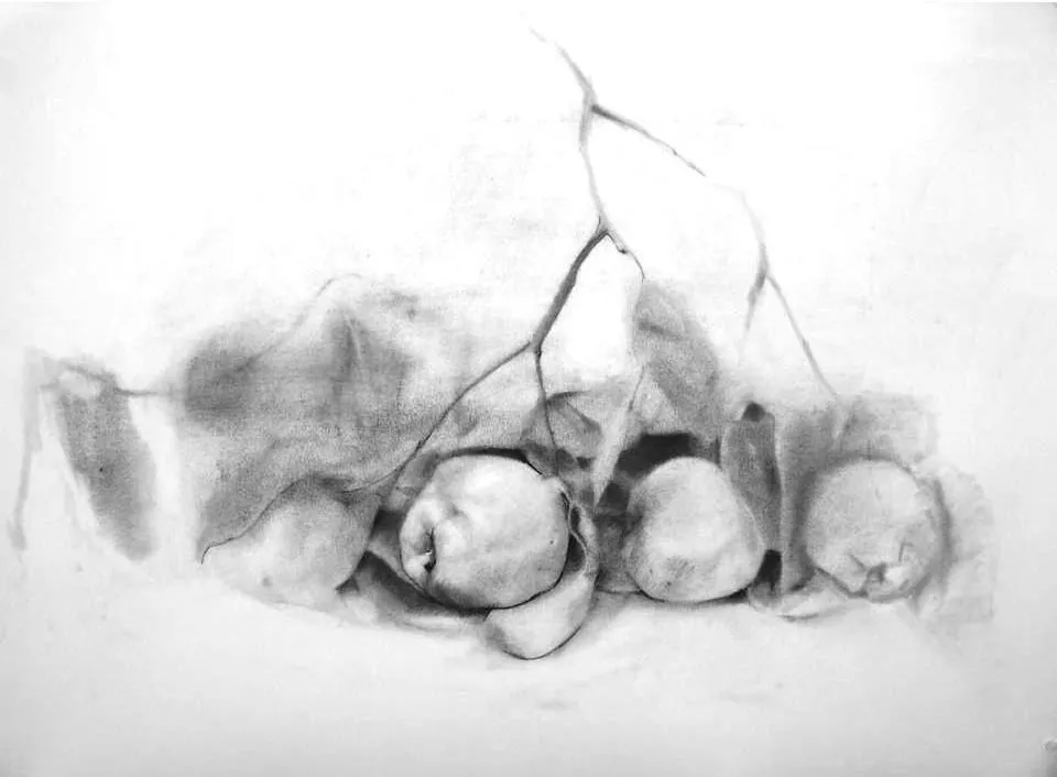 HAZ DE HIS: Membrillos a Lápiz - Quinces in Pencil