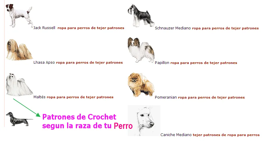 Hazle un Jersey a tu Perro eligiendolo por Raza - Patrones Crochet