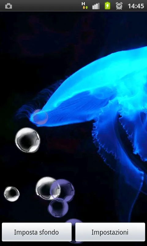 HD Neon Blue Jellyfish HD LWP - Android Apps on Google Play