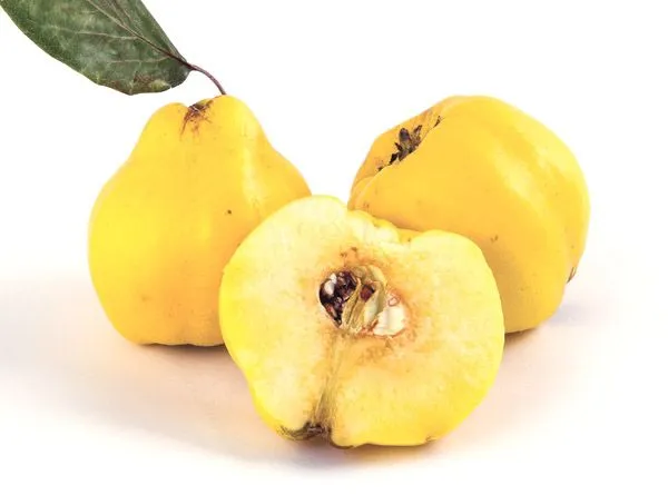 Healing properties of quince - Healtheatingfood