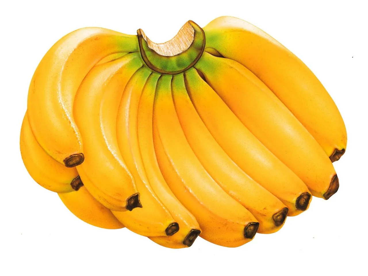 Health and Beauty: Interesting Facts About Bananas