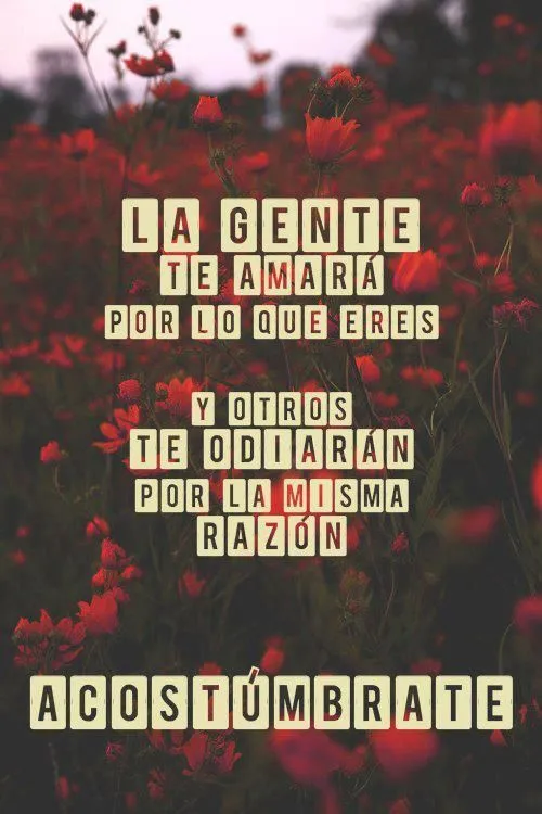 Rosas con frases tumblr - Imagui