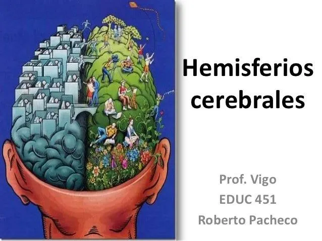 Hemisferios cerebrales