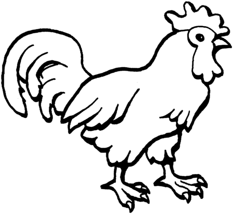 Hens coloring pages | Super Coloring