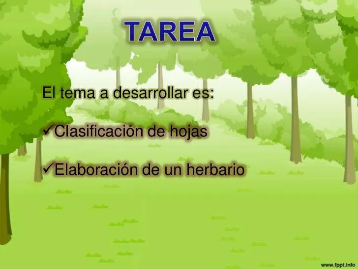 herbario-4-728.jpg?cb=1347201087