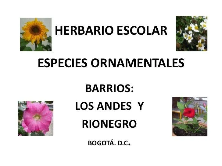 Caratula de hojas de plantas - Imagui