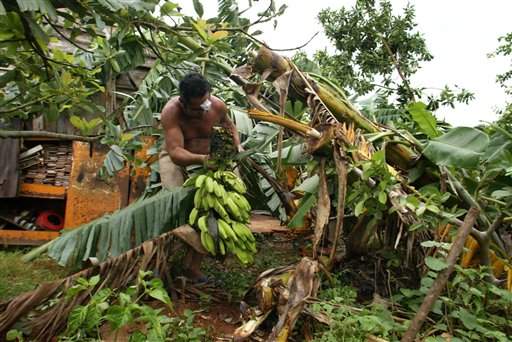 Herejías y Caipirinhas 1.0: septiembre 2006