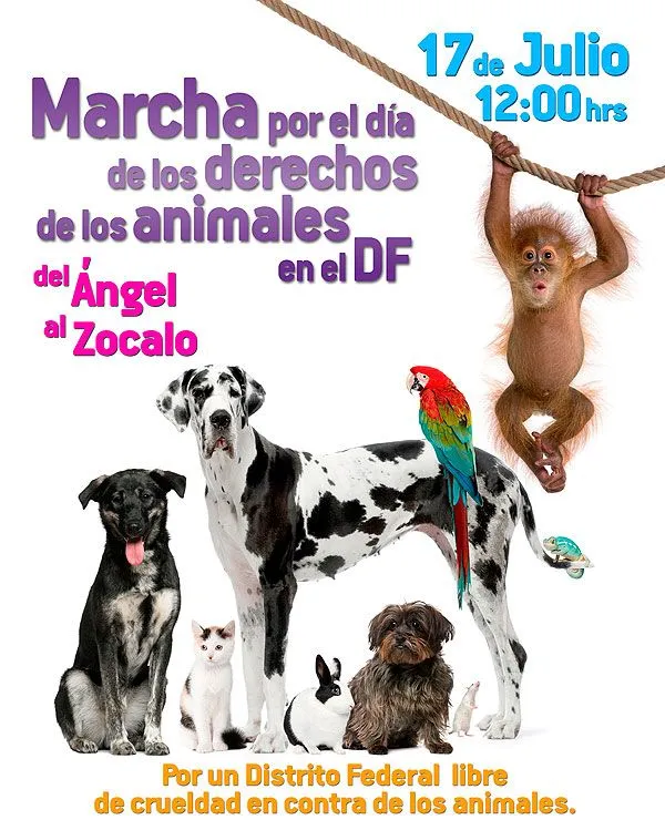 Por Nuestros Hermanos Sin Voz A. C. » Blog Archive » Marcha por el ...