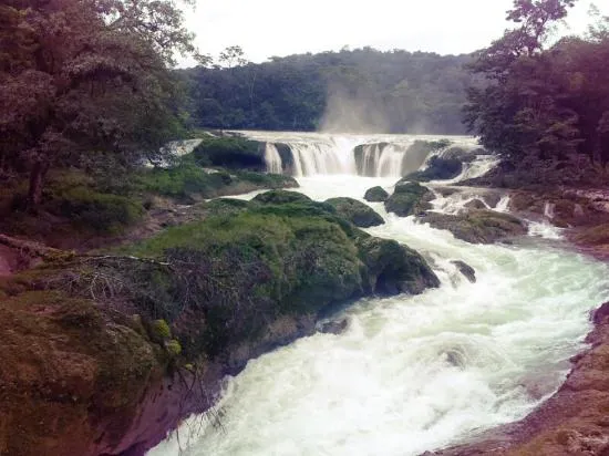 Hermosas cascadas - Picture of Centro Ecoturistico Causas Verdes ...