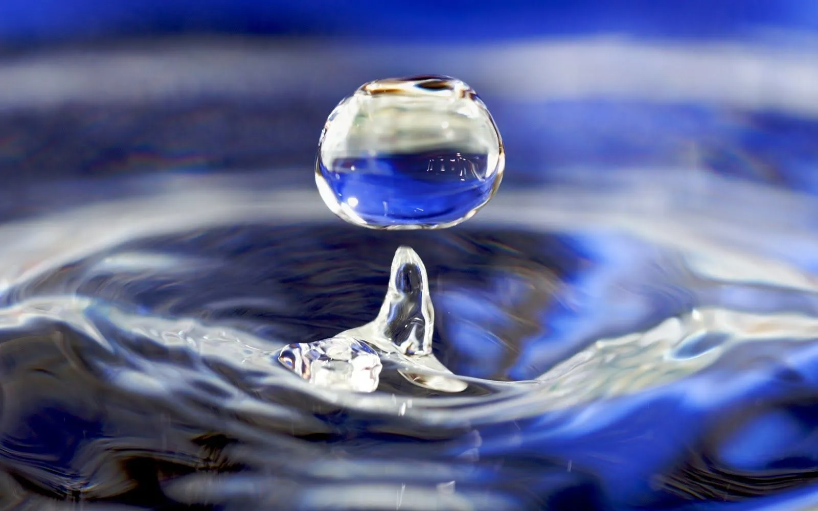 Hermosas Gotas de Agua en HD - Waterdrops HQ Images | FOTOBLOG X