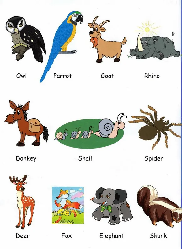 Hermosas imágenes de animales domésticos en Ingles para descargar ...