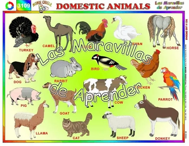 Hermosas imágenes de animales domésticos en Ingles para descargar ...