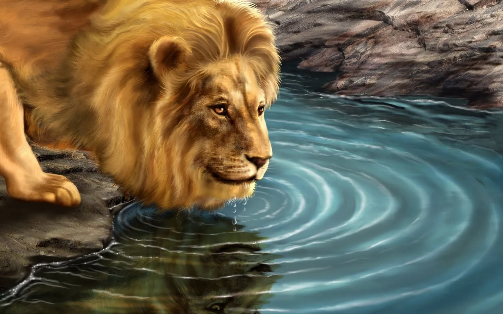 Hermoso león bebiendo agua en el río (wallpaper) | Banco de Imágenes