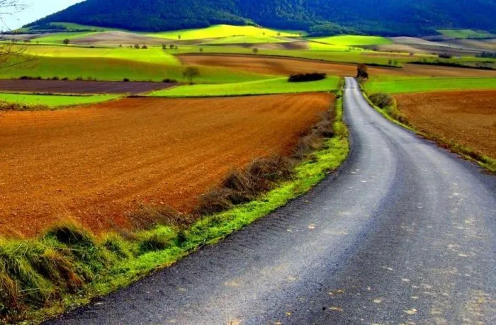 Hermosos Caminos (99 Fotos) - Taringa! | LAMINAS | Pinterest