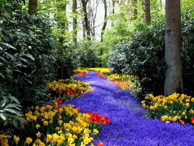 Imagenes de primavera pero con paisajes bonitos - Imagui