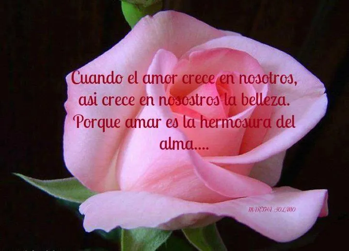 LOS MAS HERMOSOS PENSAMIENTOS, REFLEXIONES, POEMAS: HERMOSA ...