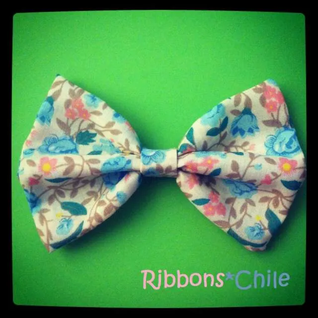 Hermosos pinches ribbons para el cabello - Arauco, Chile - Ropa ...