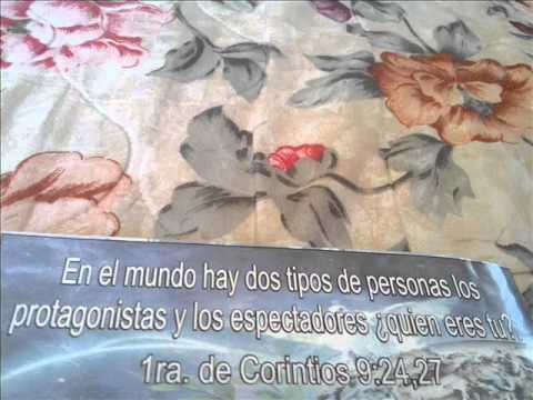 HERMOSOS TEXTOS DE LA BIBLIA - YouTube