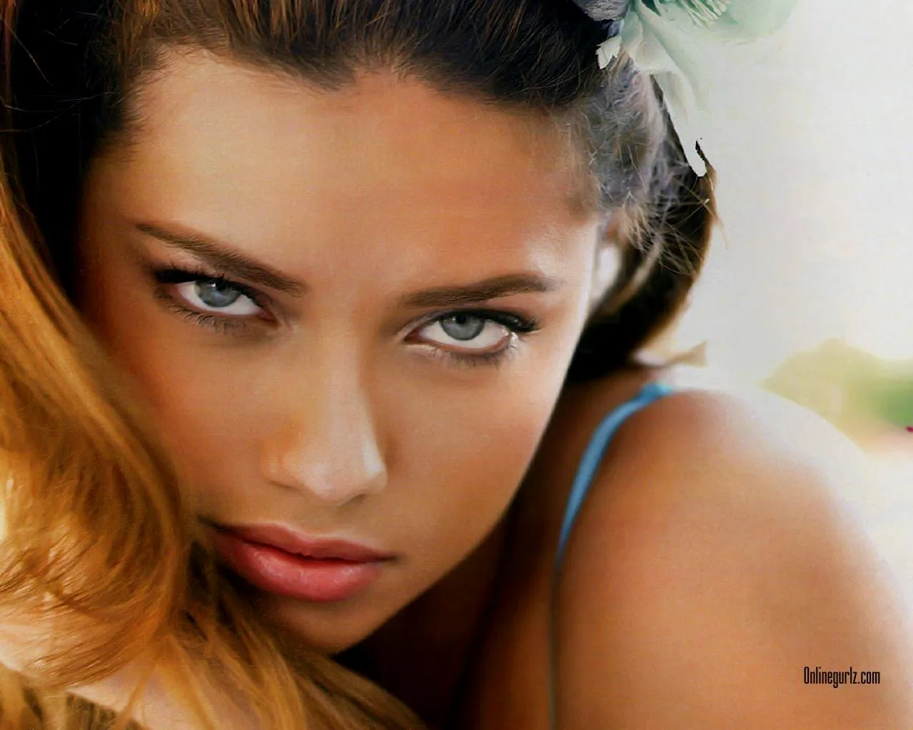 Hermosos Wallpapers de Adriana Lima HD | Banco de Imagenes Gratuitas