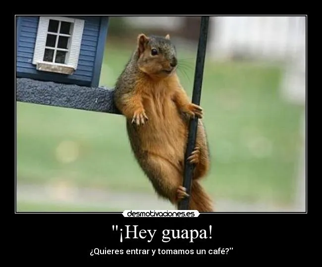 Hey guapa! | Desmotivaciones