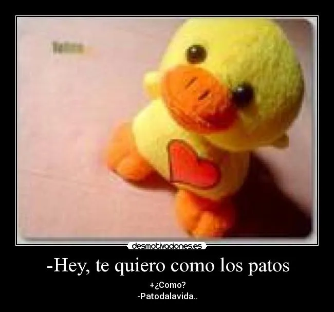 Patitos amor - Imagui