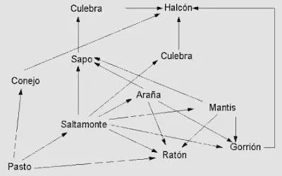 Para nuestros hijos lo mejor...: 09/
