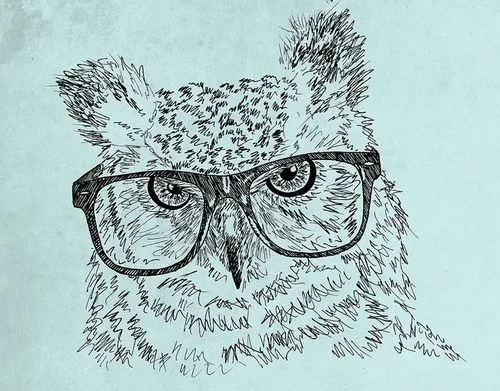 Hipster-ORLY? owl by tarek12mig on DeviantArt