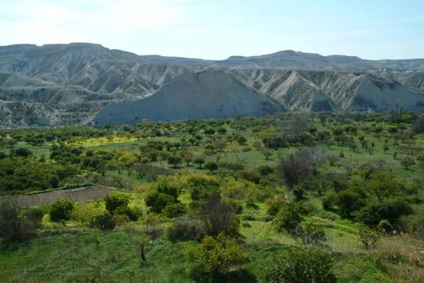 Historia de Campos del Río - Región de Murcia Digital