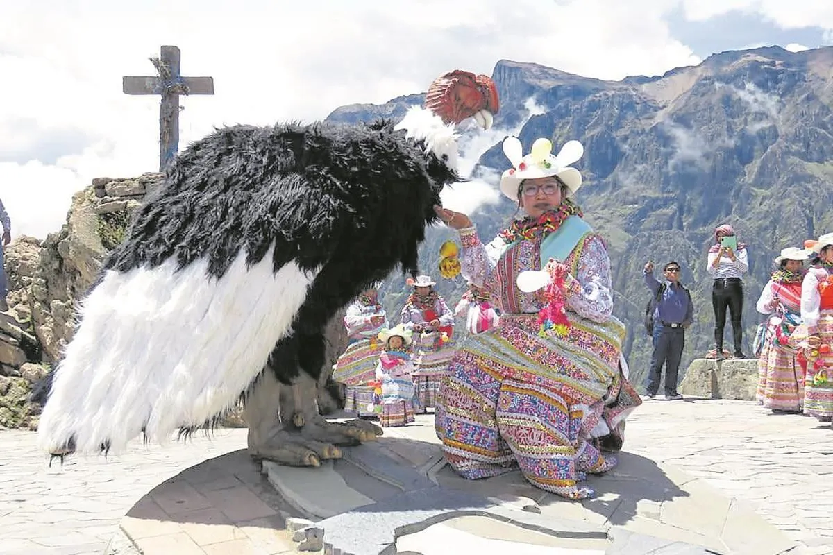 La historia del “Cóndor Humano” del cañón del Colca | EDICION | CORREO